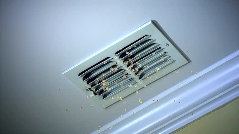 Best Air Duct Cleaning Company Near Me  in Norridge, IL