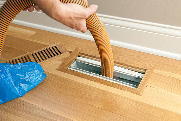 Best Air Duct Mold Removal  in Norridge, IL
